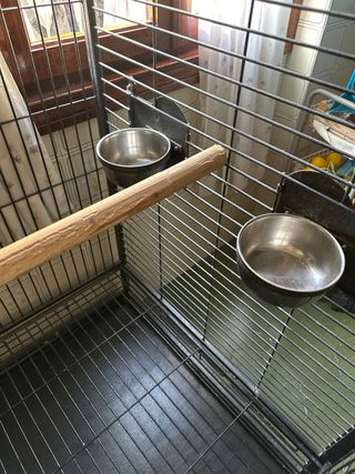 Jaula grande para loro