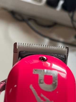 Whal personalizada