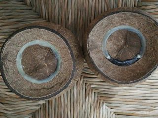 Lote 2 macetas cáscara coco