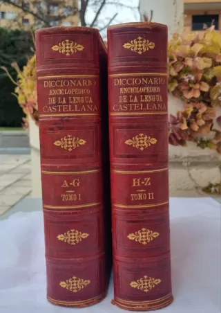 Diccionario enciclopédico de la lengua castellana