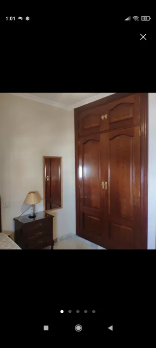 Puertas de armario de madera