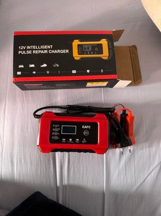 Cargador Inteligente 12V EAFC