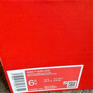 Nike P-6000 Blue Metallic / Talla 39 (GS)