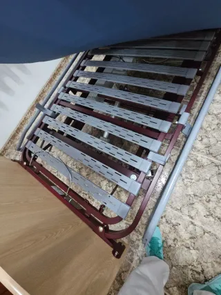 Cama articulada hospitalaria