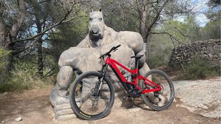 Orbea Wild - Bicicleta Eléctrica Montaña