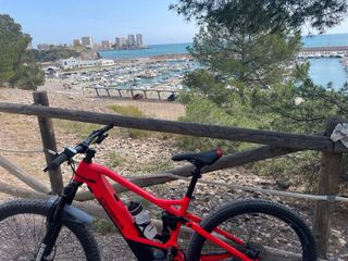 Orbea Wild - Bicicleta Eléctrica Montaña