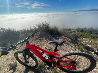 Orbea Wild FH25 e-MTB 625Wh | 160mm | XT/Deore | T