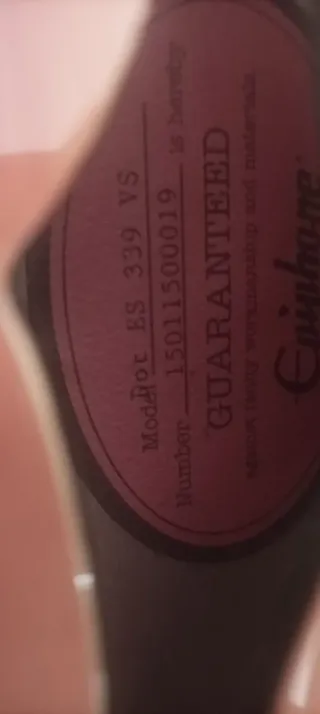 Guitarra Eléctrica Epiphone ES-339 Pro 2015