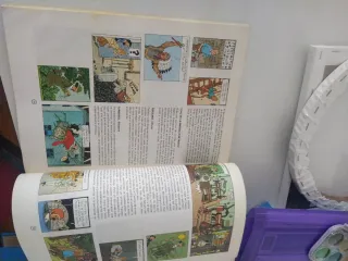 Las Aventuras De Tintín, Reportero Del Petit Vi...