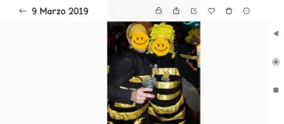 Traje de carnaval abejita