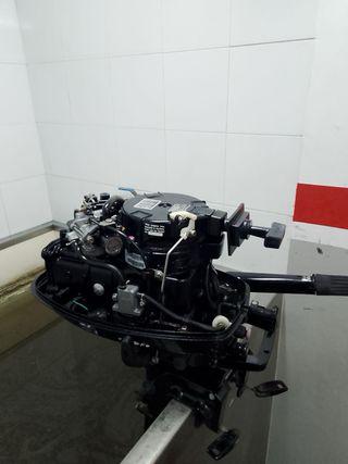 Motor Mercury fueraborda 6cv 4 tiempos