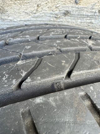 Neumáticos 205/55 R16 91W