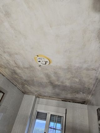 REFORMAS Y PINTURA EN ALICANTE