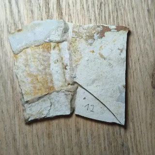 FOSIL DE PEZ EN PIEDRA