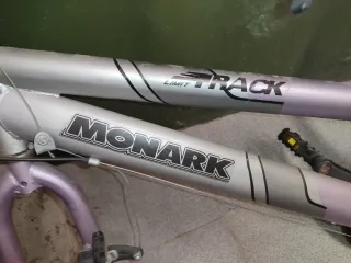 Cuadro Bicicleta paseo