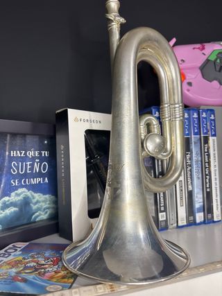 Corneta Honsuy Gloriosa Plateada