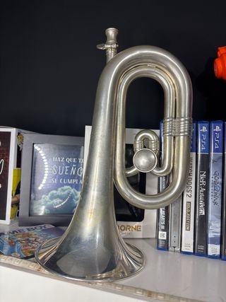 Corneta Honsuy Gloriosa Plateada