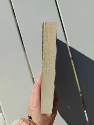 El emblema del traidor