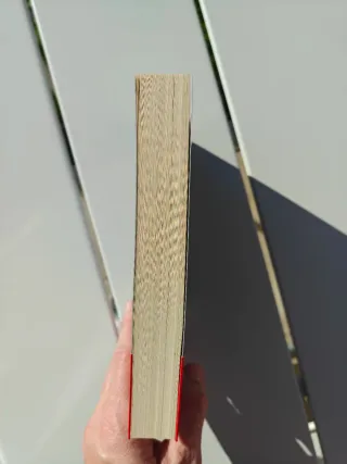 Espía de Dios (Ficción) (Spanish Edition)