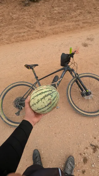 Scott Scale 970 29 Talla L