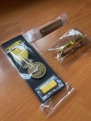 Medalla DANA Valencia