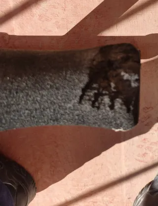 Banco para abdominales