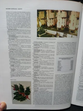 Diccionario enciclopédico 2002