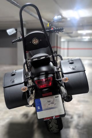 Kawasaki Vulcan S Performance 2023 A2