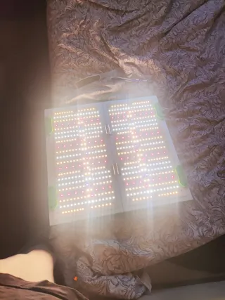 Luz LED Samsung 320W FullSpectrum luz para cultivo