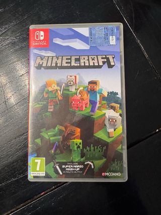 Minecraft Nintendo Switch