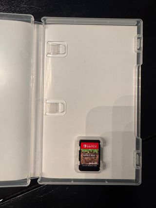 Minecraft Nintendo Switch