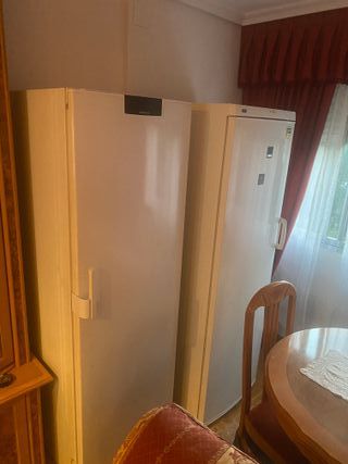 Nevera vertical Siemens y congelador zanussi