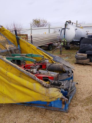 Paraguas para pistachos