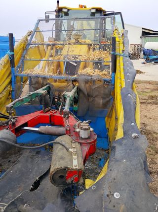 Paraguas para pistachos