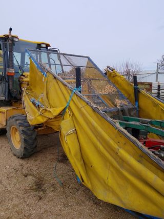 Paraguas para pistachos