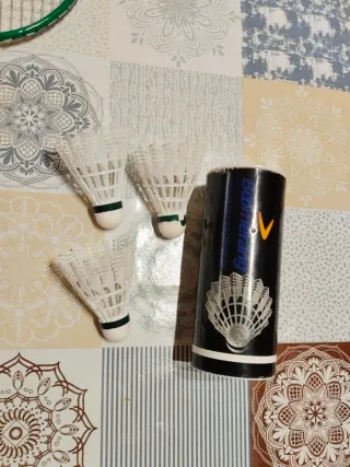 Raqueta de bádminton +juego de 3 pelotas voladoras