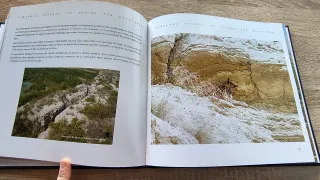 Zaragoza al natural: un tesoro por descubrir