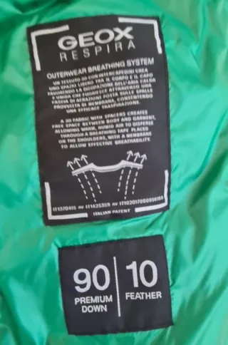 Piumino Geox uomo verde