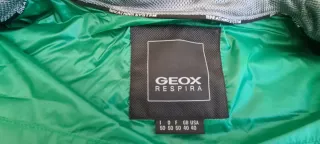 Piumino Geox uomo verde