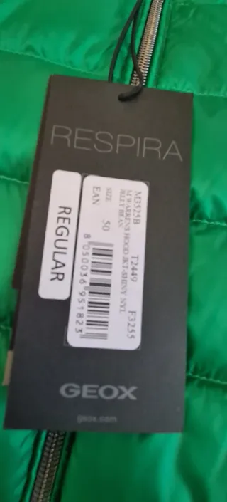 Piumino Geox uomo verde