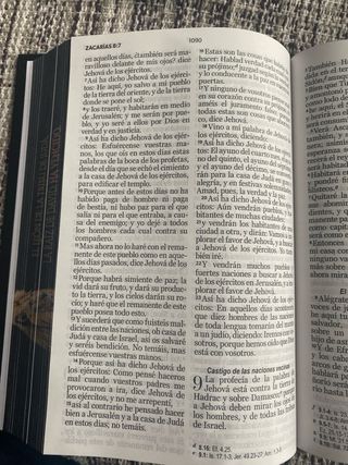 Biblia RVR 1960 letra grande