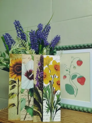 ✅Libro de Vestidos y faldas para confeccionar