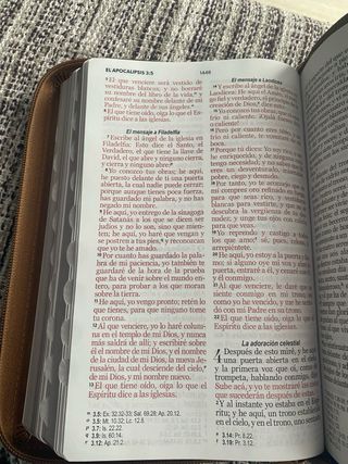 Biblia RVR 1960 letra grande