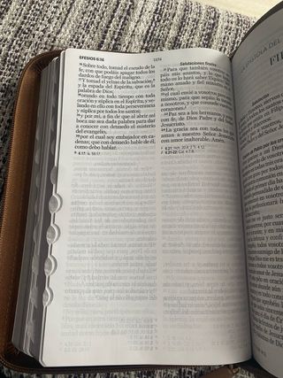 Biblia RVR 1960 letra grande