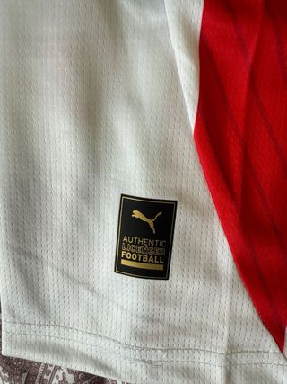 Camiseta Puma Paraguay APF
