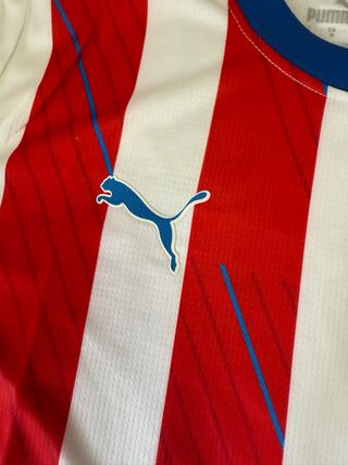Camiseta Puma Paraguay APF
