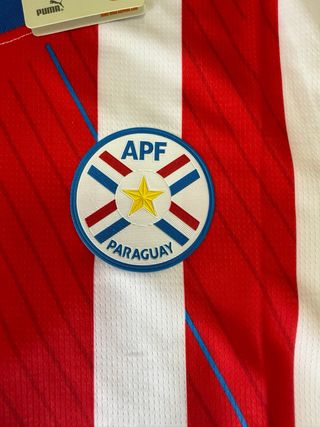 Camiseta Puma Paraguay APF