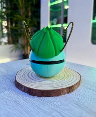 Pokeball Bulbasaur Pokemon