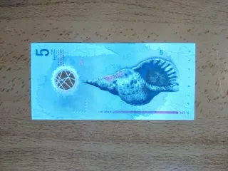 Billete Maldivas