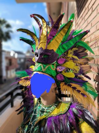 Traje Carnaval Comparsa Badajoz Mardi Gras